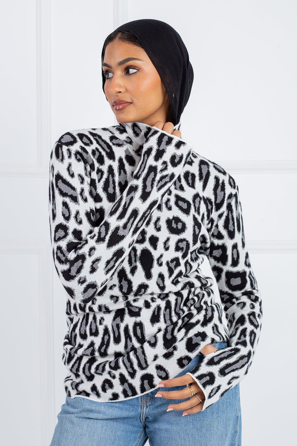 Cheetah Basic